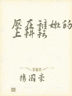 压在稚嫩的身体上耕耘