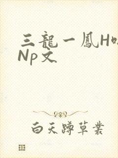 三龙一凤H啪肉Np文