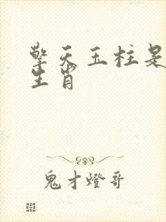 擎天玉柱是什么生肖封面