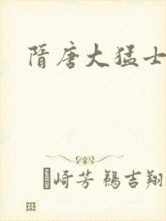 隋唐大猛士封面