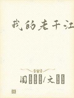 我的老千江湖封面