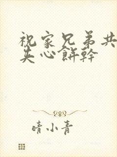 祝家兄弟共享后夹心饼干