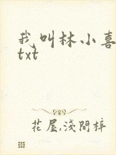 我叫林小喜小说txt
