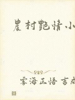 农村艳情小说封面