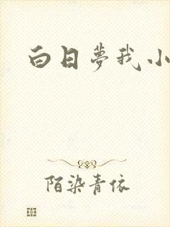 白日梦我小说