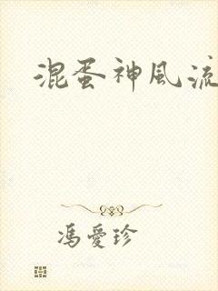 混蛋神风流记封面