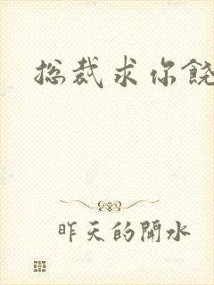 总裁求你饶了我封面