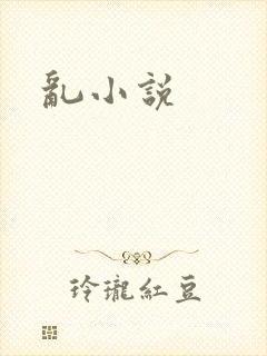 乱小说封面