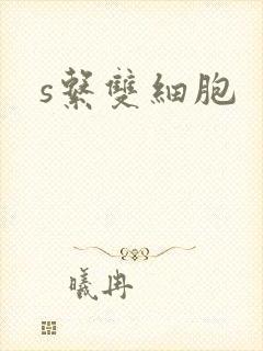 s系双细胞