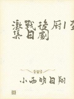 激战后厨1至5集日剧