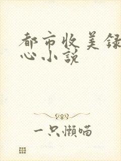 都市收美录宁素心小说封面