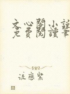 文心阁小说全文免费阅读笔趣阁