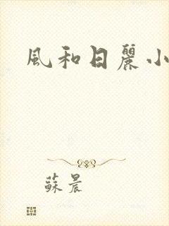 风和日丽小说封面