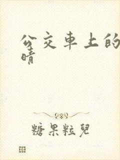 公交车上的诗请晴封面