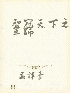 智冠天下之风流军师封面