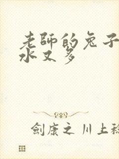 老师的兔子又软水又多