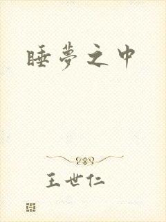 睡梦之中封面