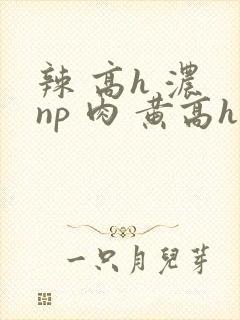 辣 高h 浓 np 肉 黄高h