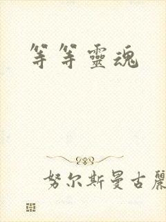 等等灵魂