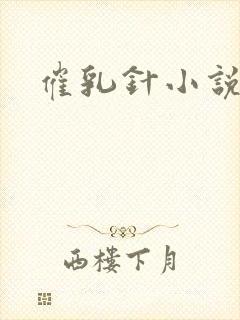 催乳针小说