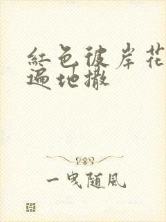 红色彼岸花花瓣遍地撒