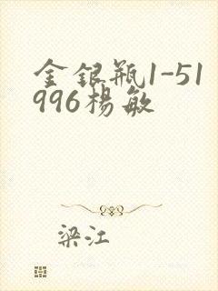 金银瓶1-51996杨敏封面