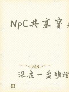 NpC共享宝贝封面