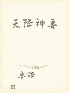 天降神妻