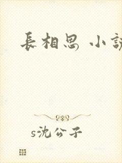 长相思 小说