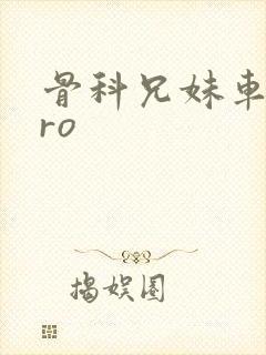 骨科兄妹车多pro