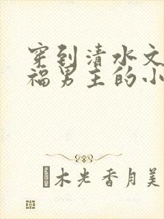 穿到清水文里造福男主的小说