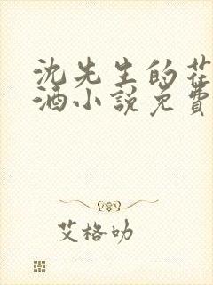 沈先生的花式调酒小说免费阅读封面