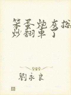 笨蛋炮灰总被爆炒翻车了