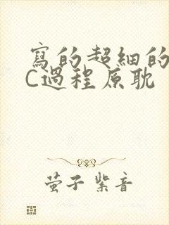 写的超细的多肉C过程原耽封面