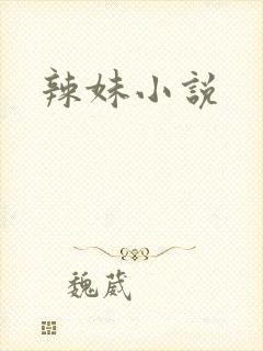 辣妹小说