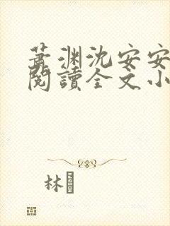 萧渊沈安安免费阅读全文小说