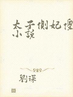 太子侧妃傻乎乎小说