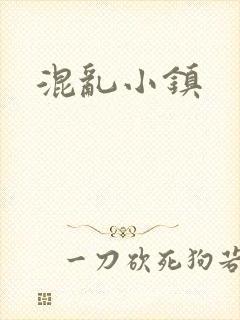 混乱小镇封面