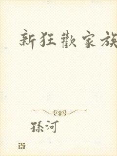 新狂欢家族小说