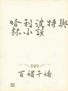 哈利波特与火焰杯小说