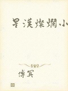 星汉灿烂小说