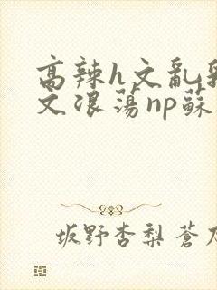 高辣h文乱乳h文浪荡np苏夏