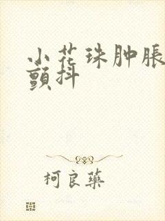 小花珠肿胀挺立颤抖