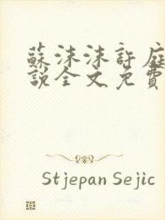 苏沫沫许庭川小说全文免费阅读封面