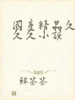 国产精品久久久久久小说