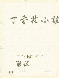 丁香花小说