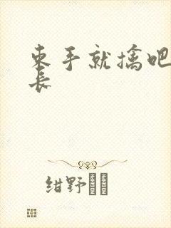 束手就擒吧韩队长