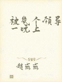 被几个领导玩弄一晚上