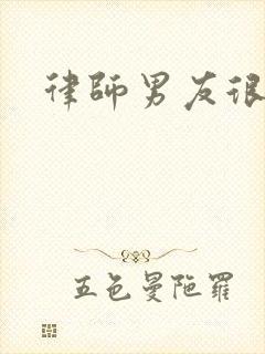 律师男友很难撩