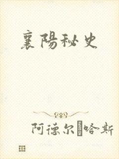 襄阳秘史